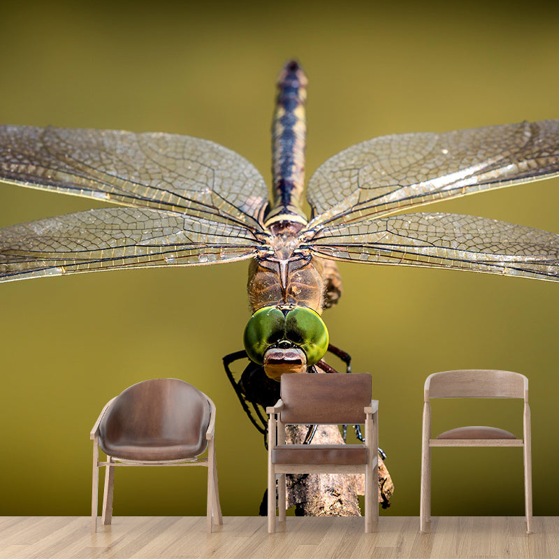 Dragonfly Mural Wallpaper Moisture Resistant Living Room Bedroom Wall Decor