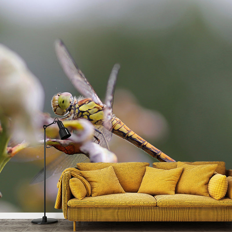 Dragonfly Mural Wallpaper Moisture Resistant Living Room Bedroom Wall Decor