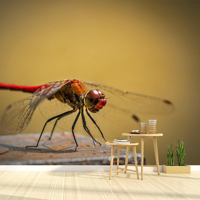 Dragonfly Mural Wallpaper Moisture Resistant Living Room Bedroom Wall Decor