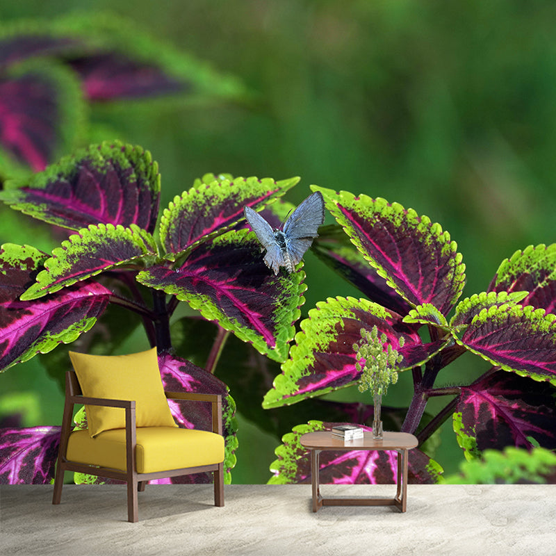 Coleus Leaves Mural Wallpaper Stain Resistant Wall Covering for Living Room