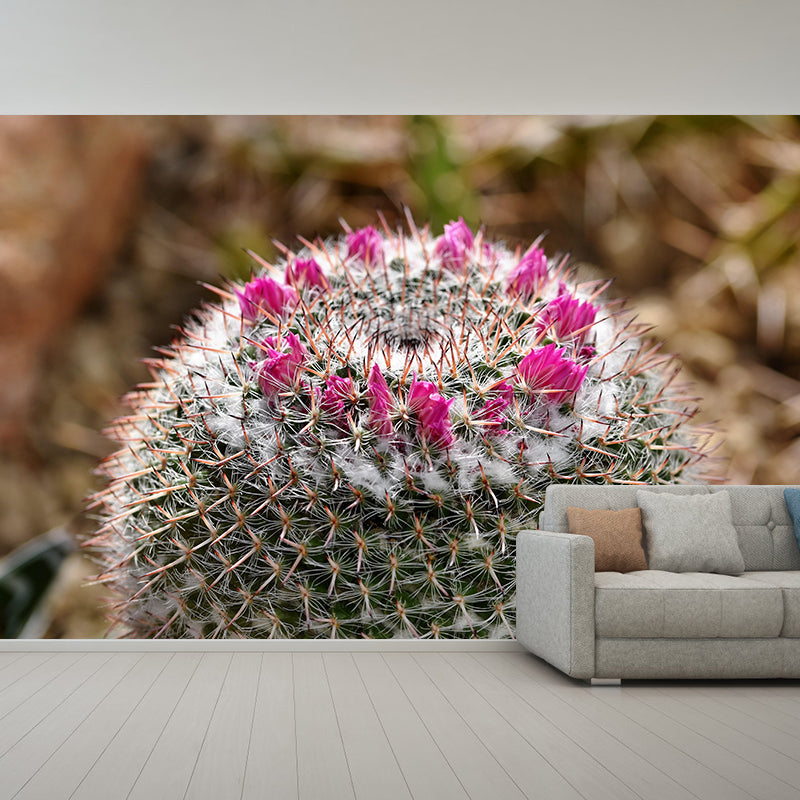 Customized Modern Plants Mural Wallpaper with Cactus Pattern Mildew Resistant