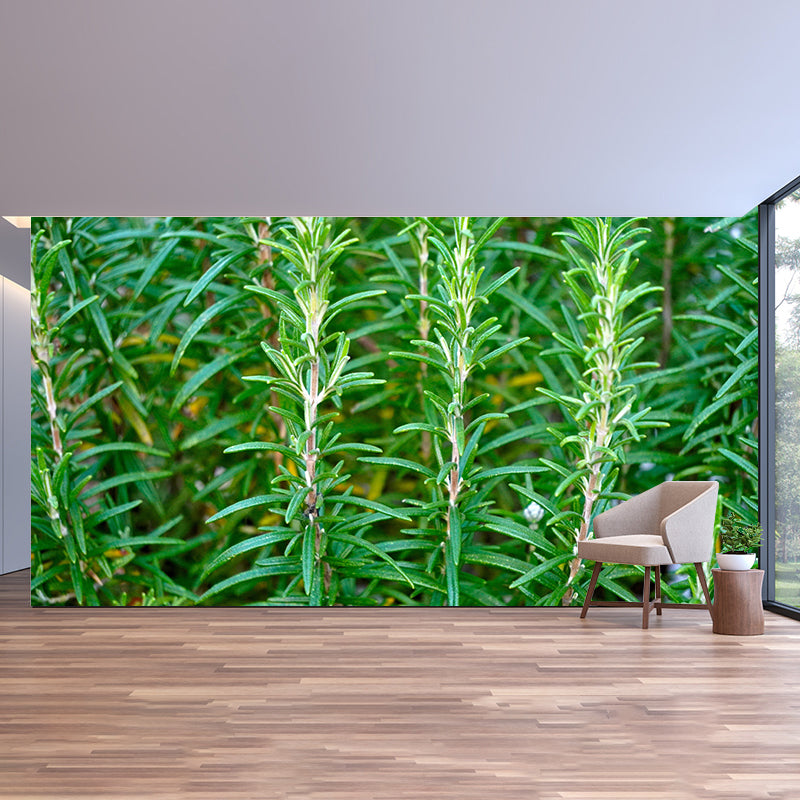 Rosemary Painting Mural Decal Modern Mildew Resistant Wall Covering for Decoration