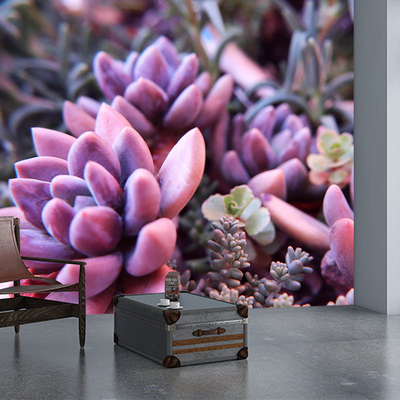 Succulent Potted Plants Mural Wallpaper Stain Resistant Wall Covering for Living Room