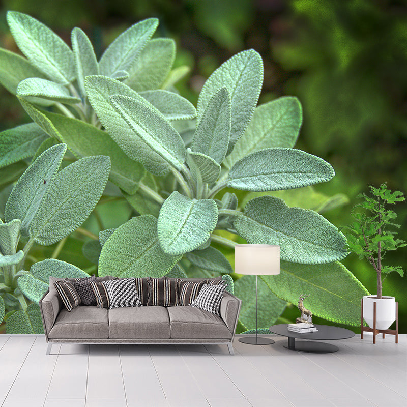 Herb Painting Mural Decal Modern Mildew Resistant Wall Covering for Decoration