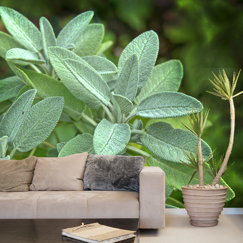 Herb Painting Mural Decal Modern Mildew Resistant Wall Covering for Decoration