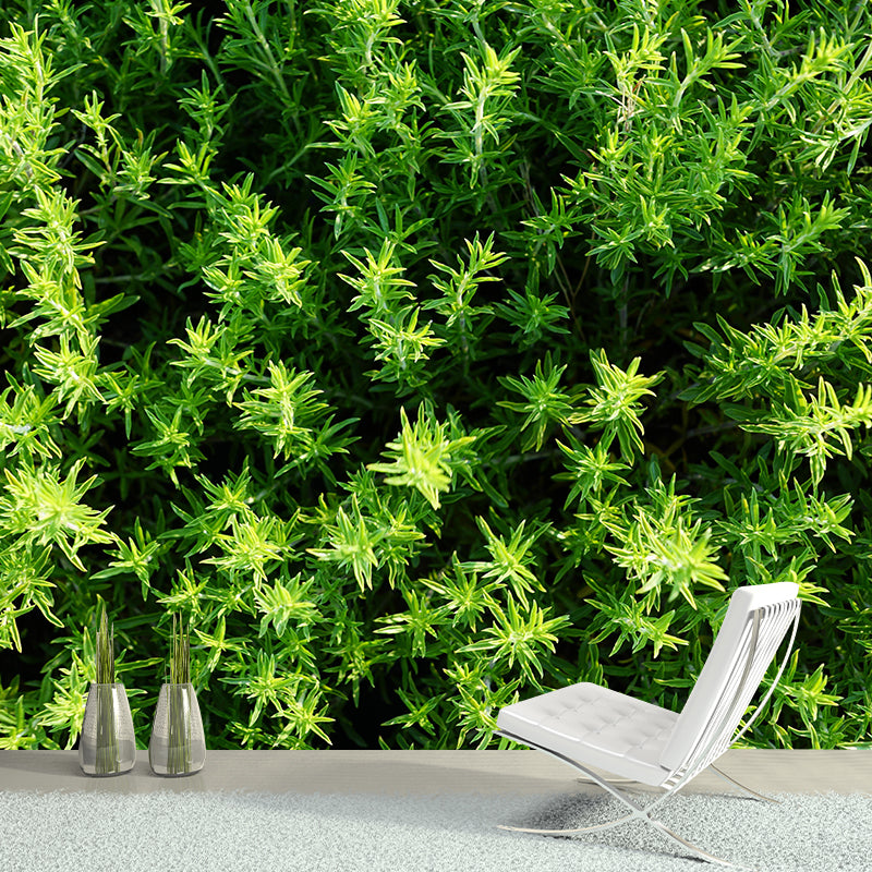 Customized Modern Plants Mural Wallpaper with Thyme Pattern Mildew Resistant
