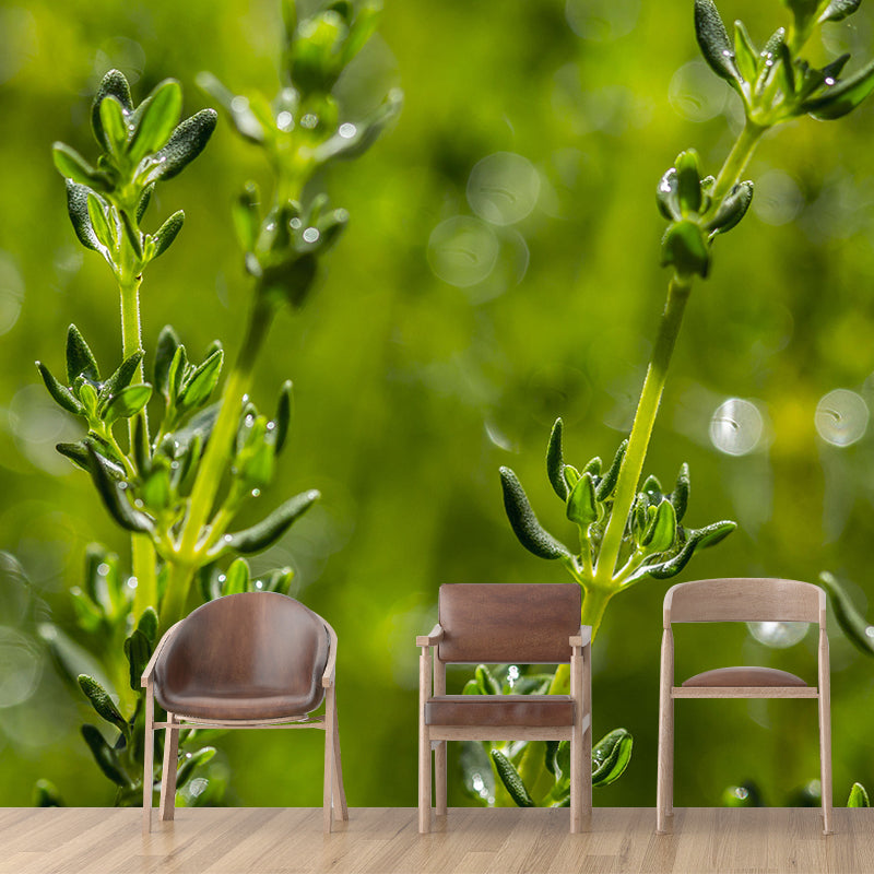 Customized Modern Plants Mural Wallpaper with Thyme Pattern Mildew Resistant
