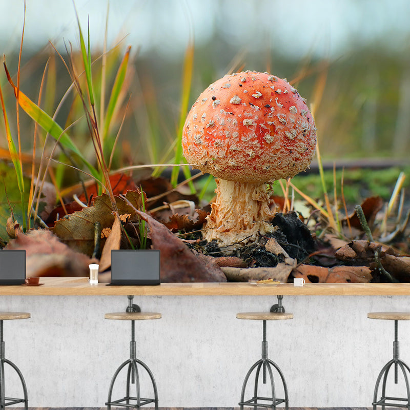 Mushrooms Mural Modern Stain Resistant Bedroom Wall Decor in Bright Color