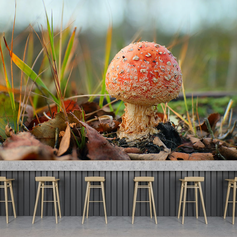 Mushrooms Mural Modern Stain Resistant Bedroom Wall Decor in Bright Color