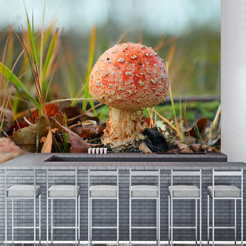 Mushrooms Mural Modern Stain Resistant Bedroom Wall Decor in Bright Color