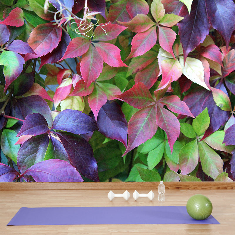 Customized Virginia-Creeper Plant Mural Wallpaper Mildew Resistant Wall Decor