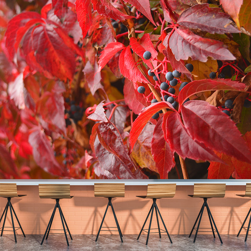 Customized Virginia-Creeper Plant Mural Wallpaper Mildew Resistant Wall Decor