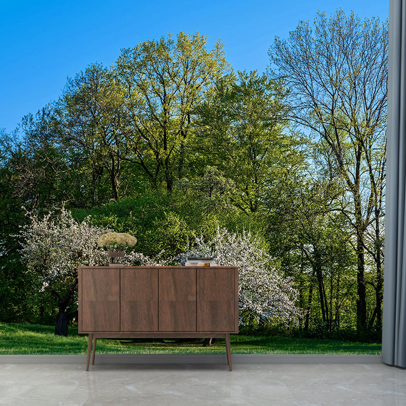 Spring Forest Scenery Wall Mural Contemporary Home Decor for Sitting Room