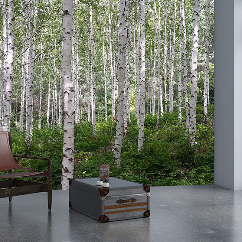 Photographic Spring Forest Mural Mildew Resistant Wall Decor for House Interior