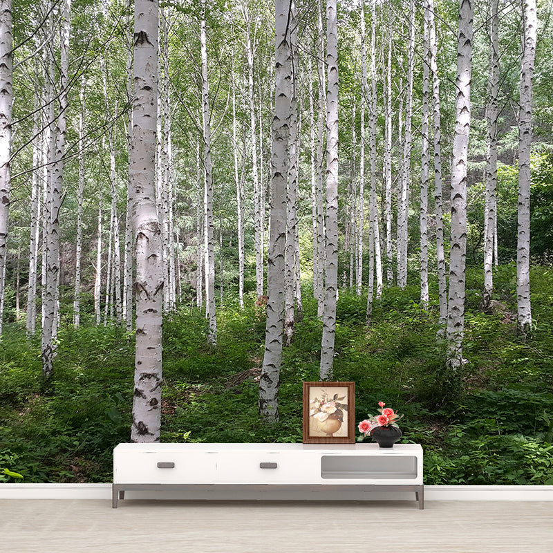 Photographic Spring Forest Mural Mildew Resistant Wall Decor for House Interior