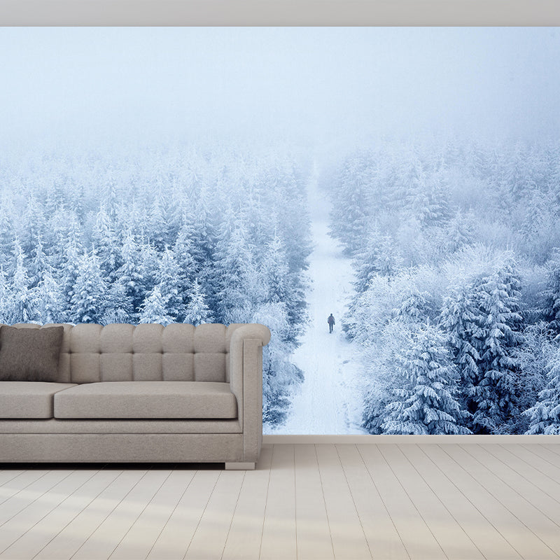 Winter Forest Scenery Wall Mural Contemporary Home Decor for Sitting Room