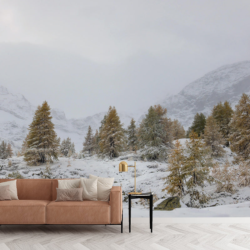 Winter Forest Scenery Wall Mural Contemporary Home Decor for Sitting Room