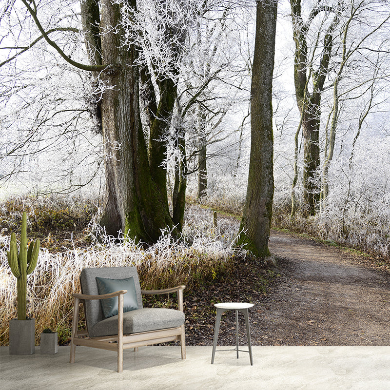 Customized Winter Forest Wall Mural Mildew Resistant Wall Decor for House Interior