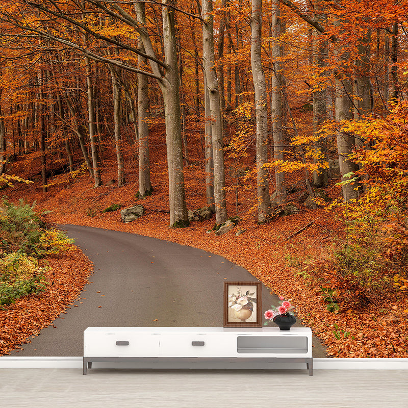Photographic Autumn Forest Mural Mildew Resistant Wall Decor for House Interior