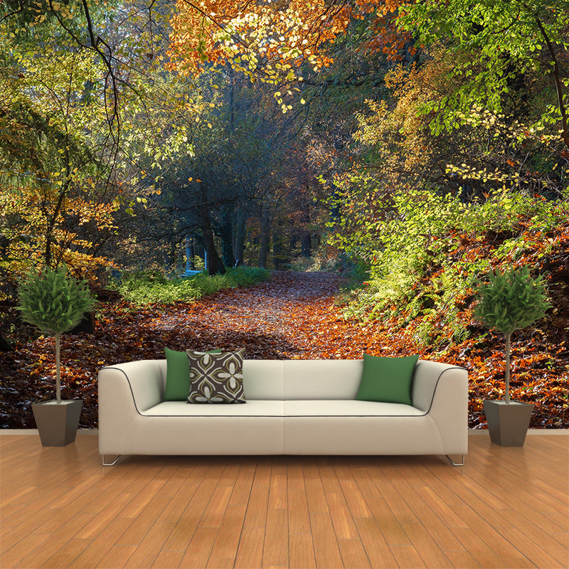 Photographic Autumn Forest Mural Mildew Resistant Wall Decor for House Interior