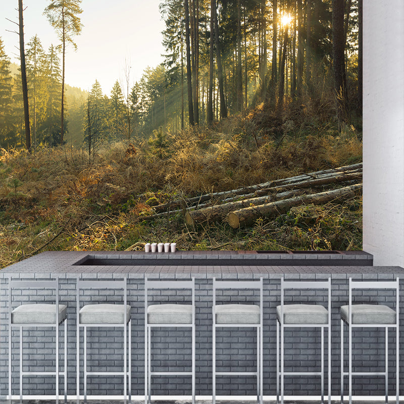 Autumn Forest Scenery Wall Mural Contemporary Home Decor for Sitting Room