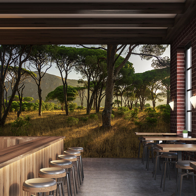 Photographic Summer Forest Mural Mildew Resistant Wall Decor for House Interior