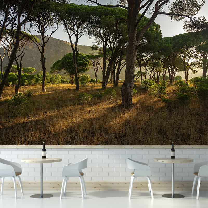 Photographic Summer Forest Mural Mildew Resistant Wall Decor for House Interior