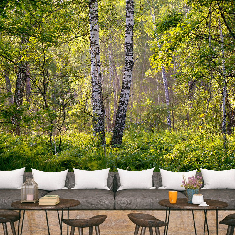 Photographic Summer Forest Mural Mildew Resistant Wall Decor for House Interior