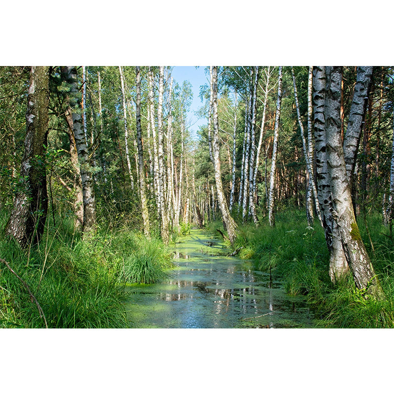 Customized Summer Forest Wall Mural Mildew Resistant Wall Decor for House Interior