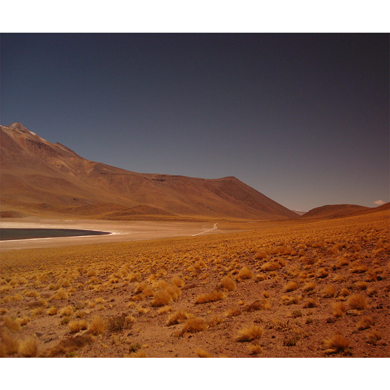 Big Desert Scenery Mural Wallpaper Eco-friendly Modern Living Room Decoration