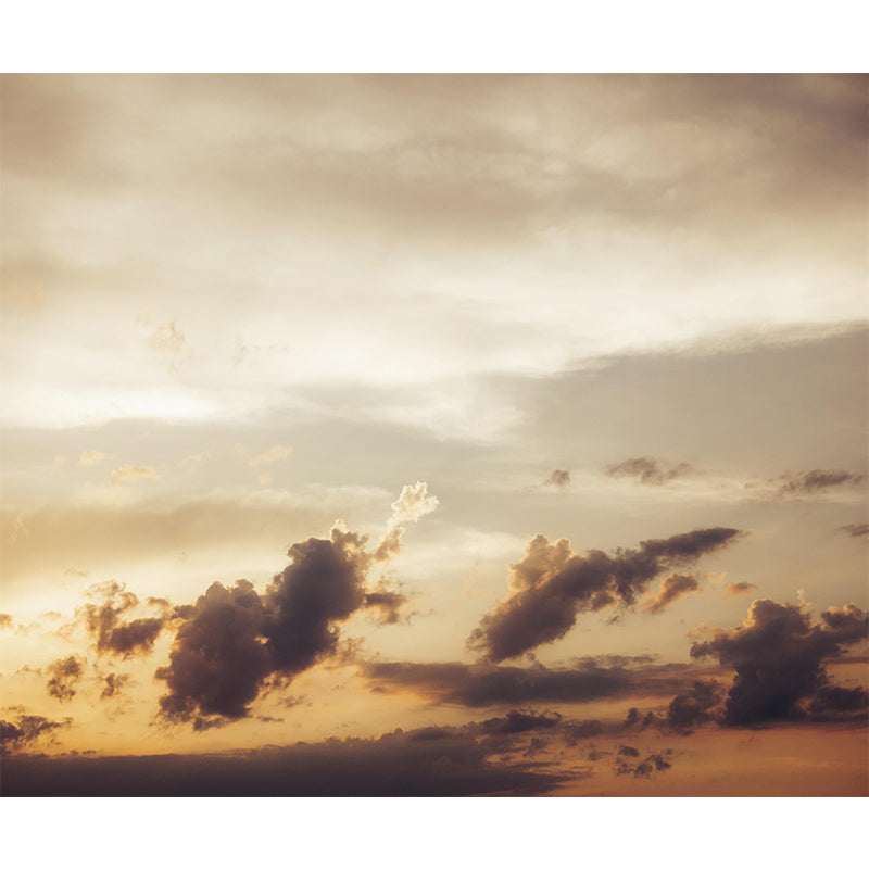 Multi Color Wall Murals Contemporary Photography Horizontal Wall Art for Bedroom