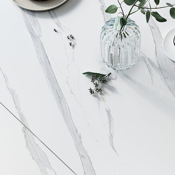 Modern Sintered Stone Dining Room Set with Black Base Dining Furniture for Home Use