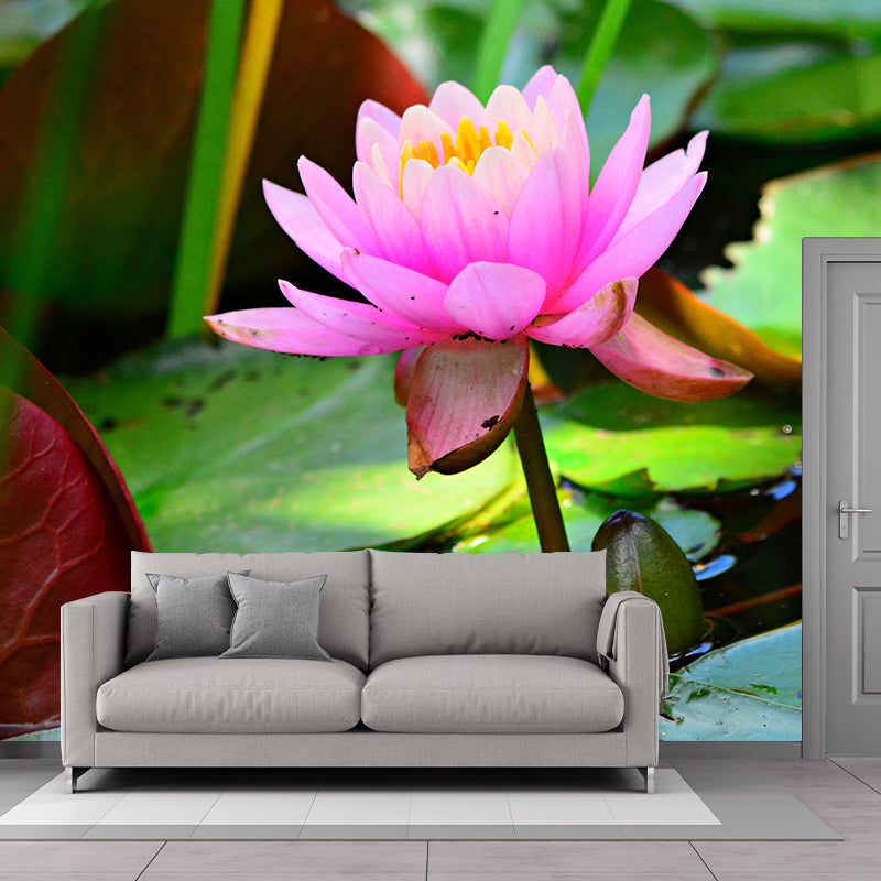 Lotus in Water Murals Flower Water Resistant Wall Covering for Gust Room