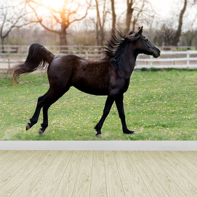 Horse Wall Paper Murals Wall Paper Murals for Home Moisture Resistant, Personalised Size
