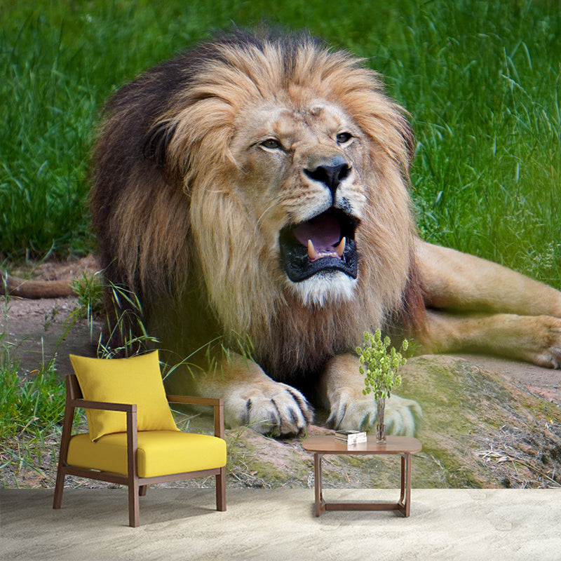 Ferocious Lion Wallpaper Murals Modern Wall Art for Sitting Room, Personalised Size