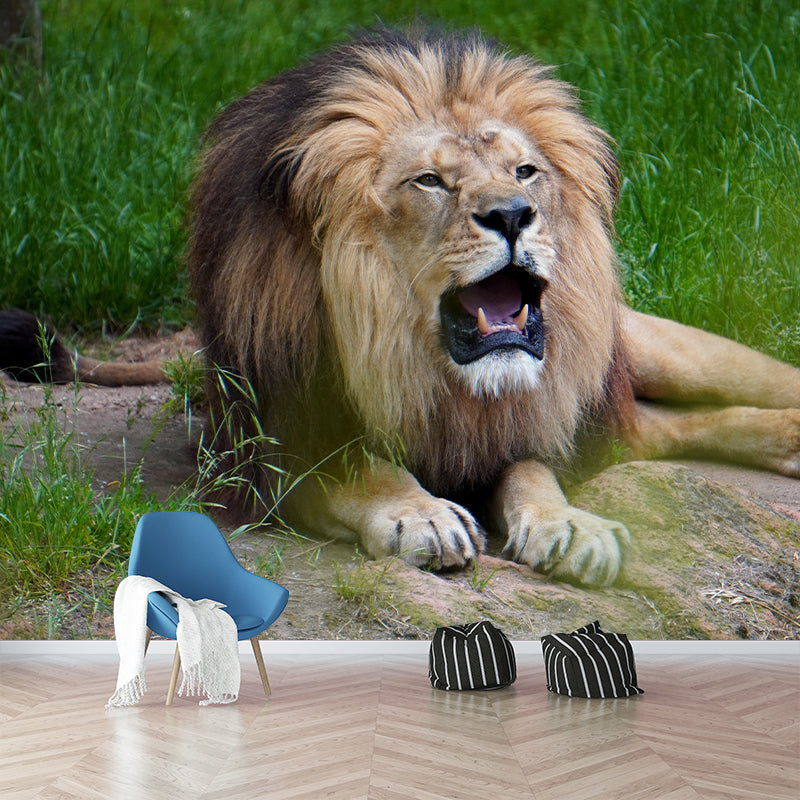 Ferocious Lion Wallpaper Murals Modern Wall Art for Sitting Room, Personalised Size
