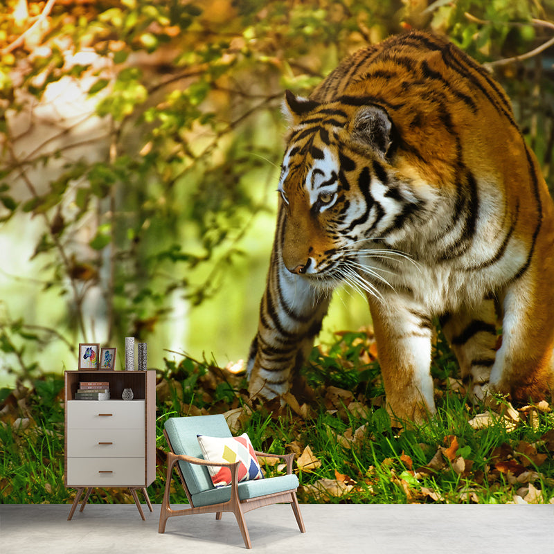 Tiger Modern Mural Decorative Sitting Room Wall Covering, Custom Size Available