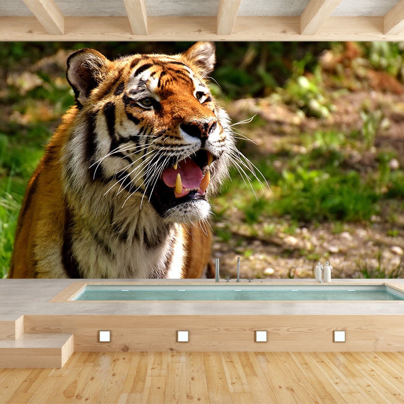 Tiger Modern Mural Decorative Sitting Room Wall Covering, Custom Size Available