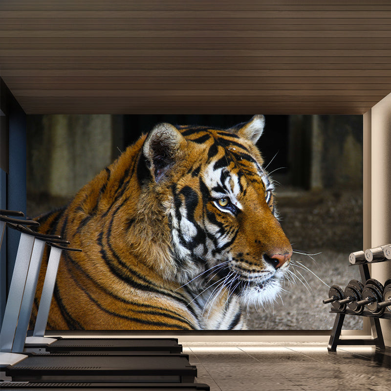 Tiger Modern Mural Decorative Sitting Room Wall Covering, Custom Size Available