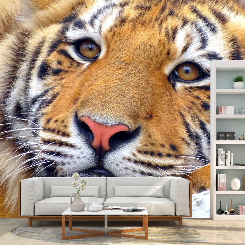 Contemporary Tiger Animal Wall Paper Murals for Home Moisture Resistant, Personalised Size