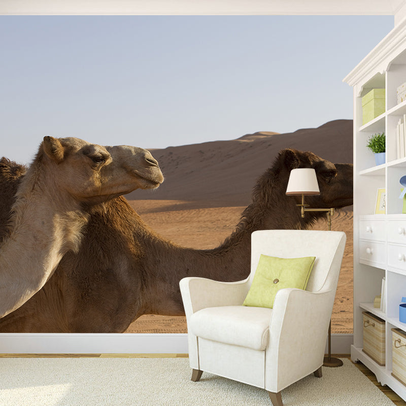 Desert Camel Animal Wall Mural Home Decorative Water Resistant, Personalised Size