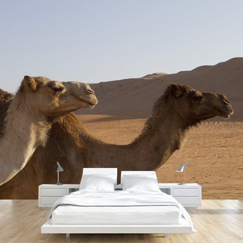 Desert Camel Animal Wall Mural Home Decorative Water Resistant, Personalised Size