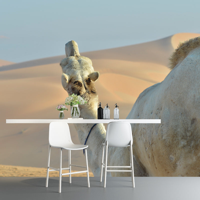 Desert Camel Animal Wall Mural Home Decorative Water Resistant, Personalised Size