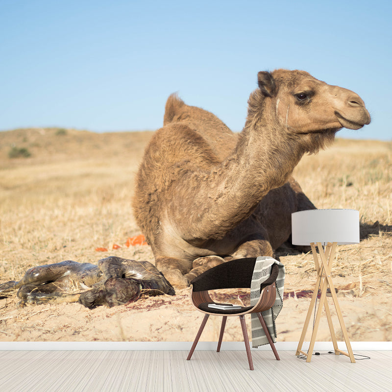 Desert Camel Animal Wall Mural Home Decorative Water Resistant, Personalised Size