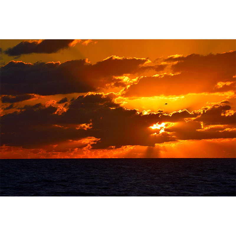 Photography Sky Scenery Wall Murals for Living Room, Moisture Resistant