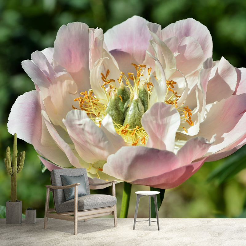 Delicate Peony Houses Mural Decal for Girls' Bedroom, Moisture Resistant