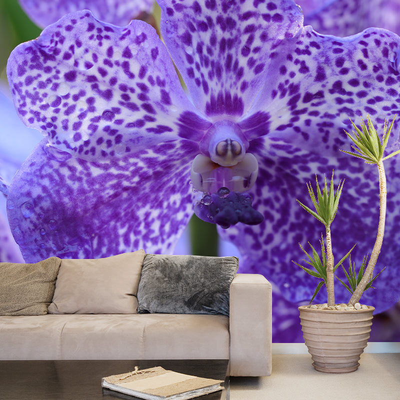 Orchid Murals Contemporary Washable Girls' Bedroom Wall Decor, Size Optional