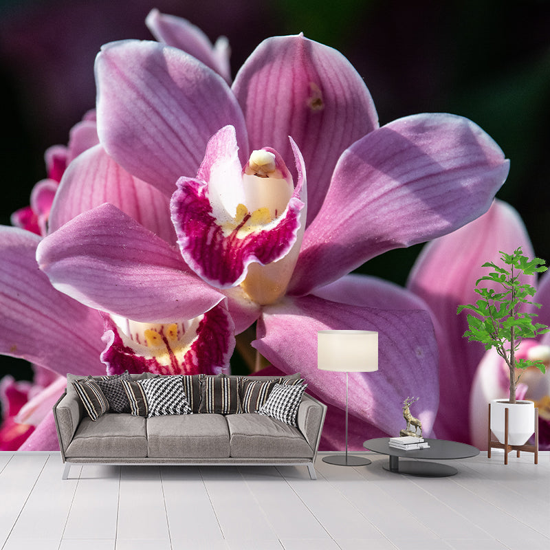 Orchid Murals Contemporary Washable Girls' Bedroom Wall Decor, Size Optional