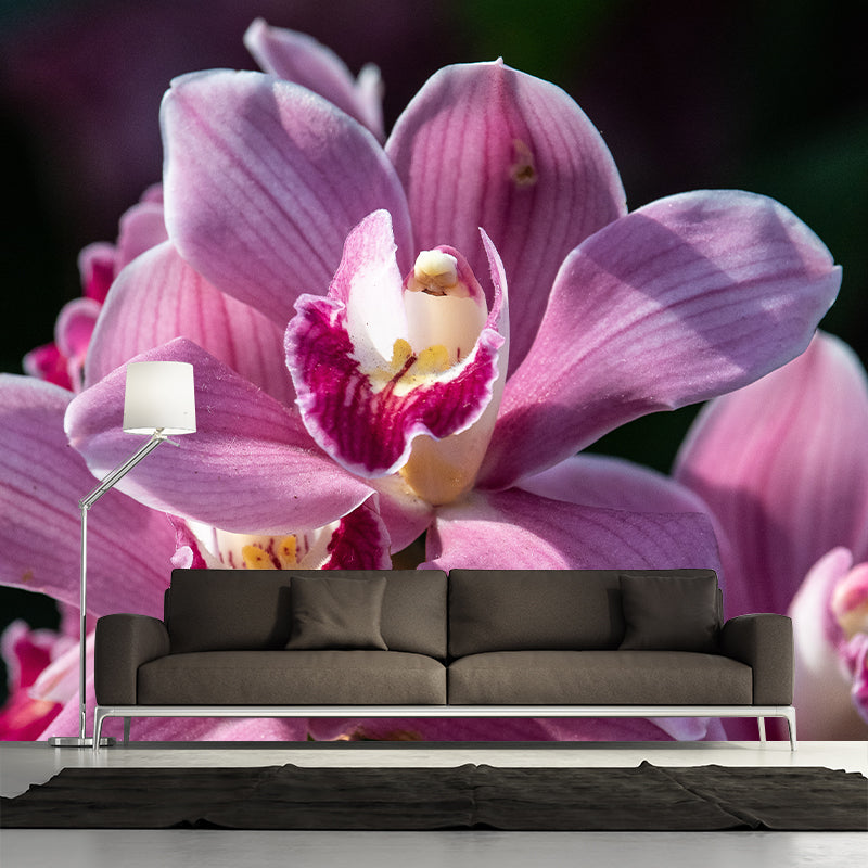 Orchid Murals Contemporary Washable Girls' Bedroom Wall Decor, Size Optional