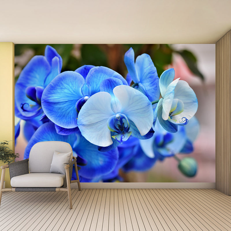 Beautiful Orchid Wall Murals for Home Decoration Stain Resistant, Personalised Size